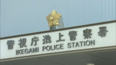 【SMS詐欺】TikTokを悪用した生活支援制度詐欺の手口と対策